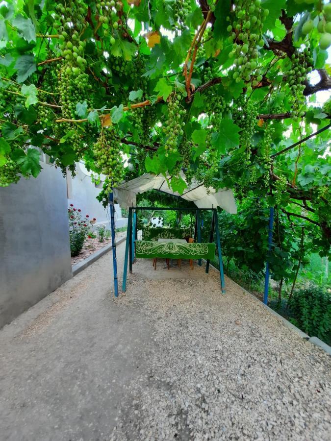 Ararat B&B Chʼiva Exteriér fotografie